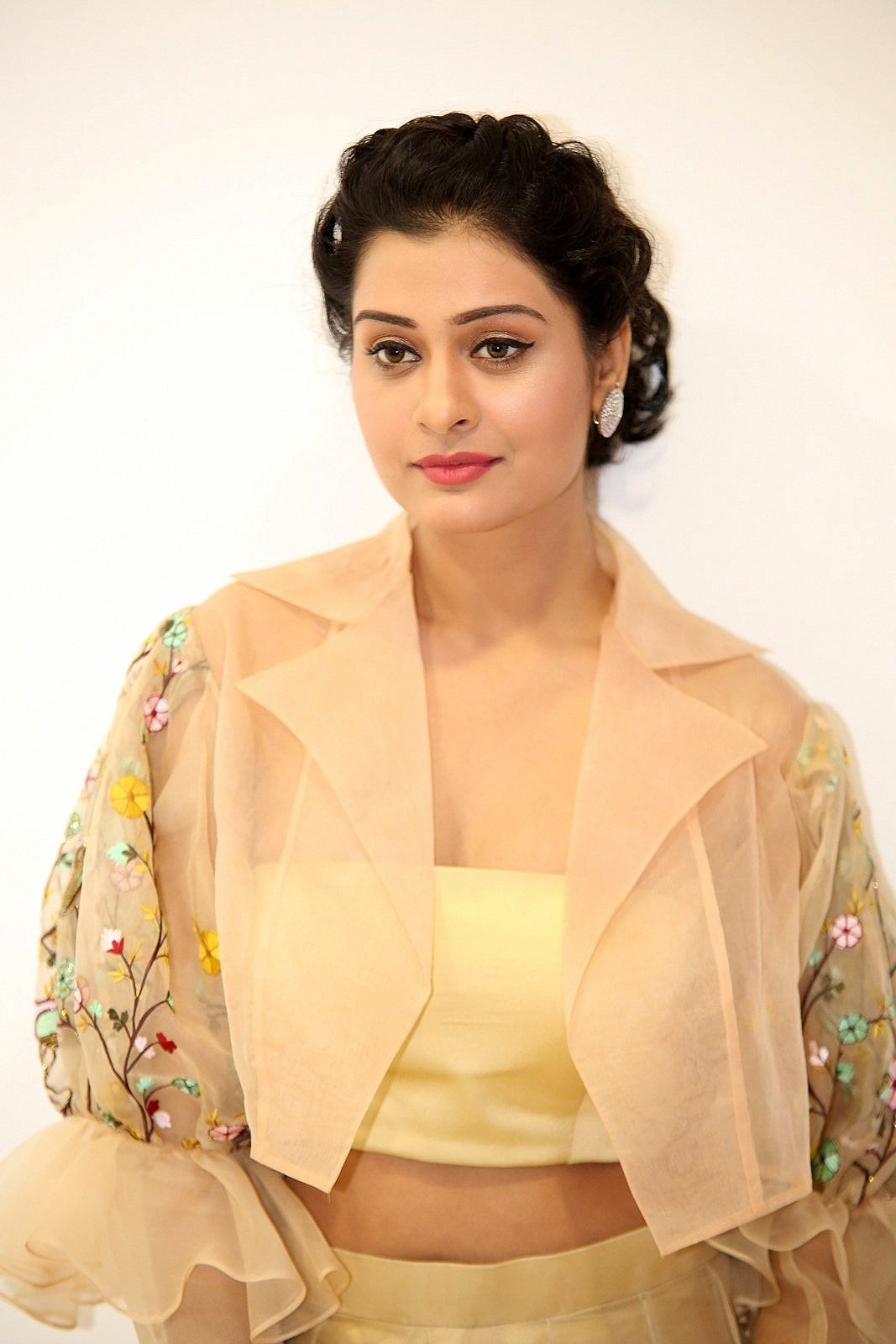 Payal Rajput UHD HD Photo