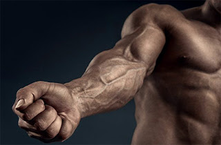 8 Mistakes to Avoid in Getting Bigger Biceps