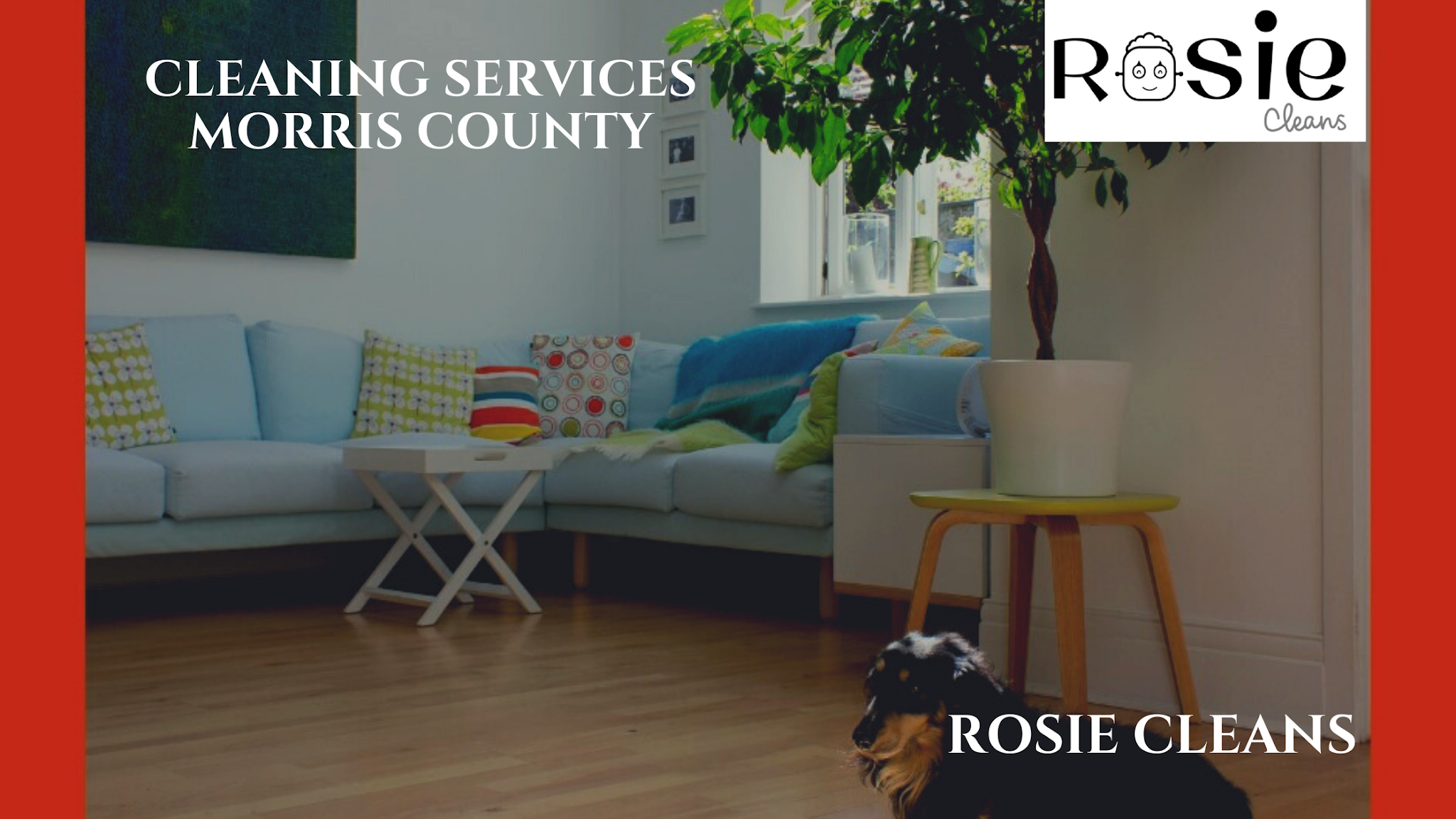 cleaning services Morris County