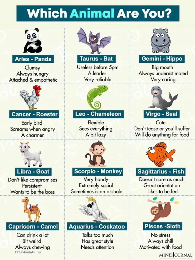Which Animal Am I,Based On My Zodiac Sign 