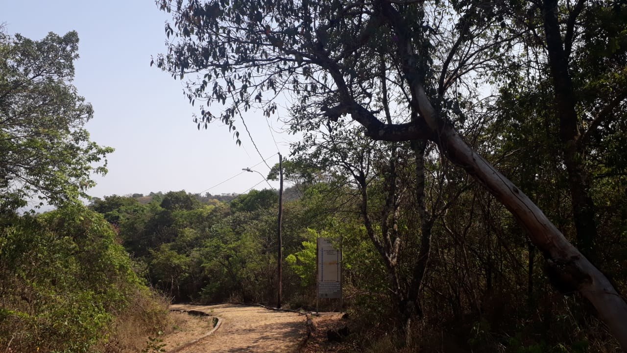 Atrativos do Parque das Mangabeiras em Belo Horizonte