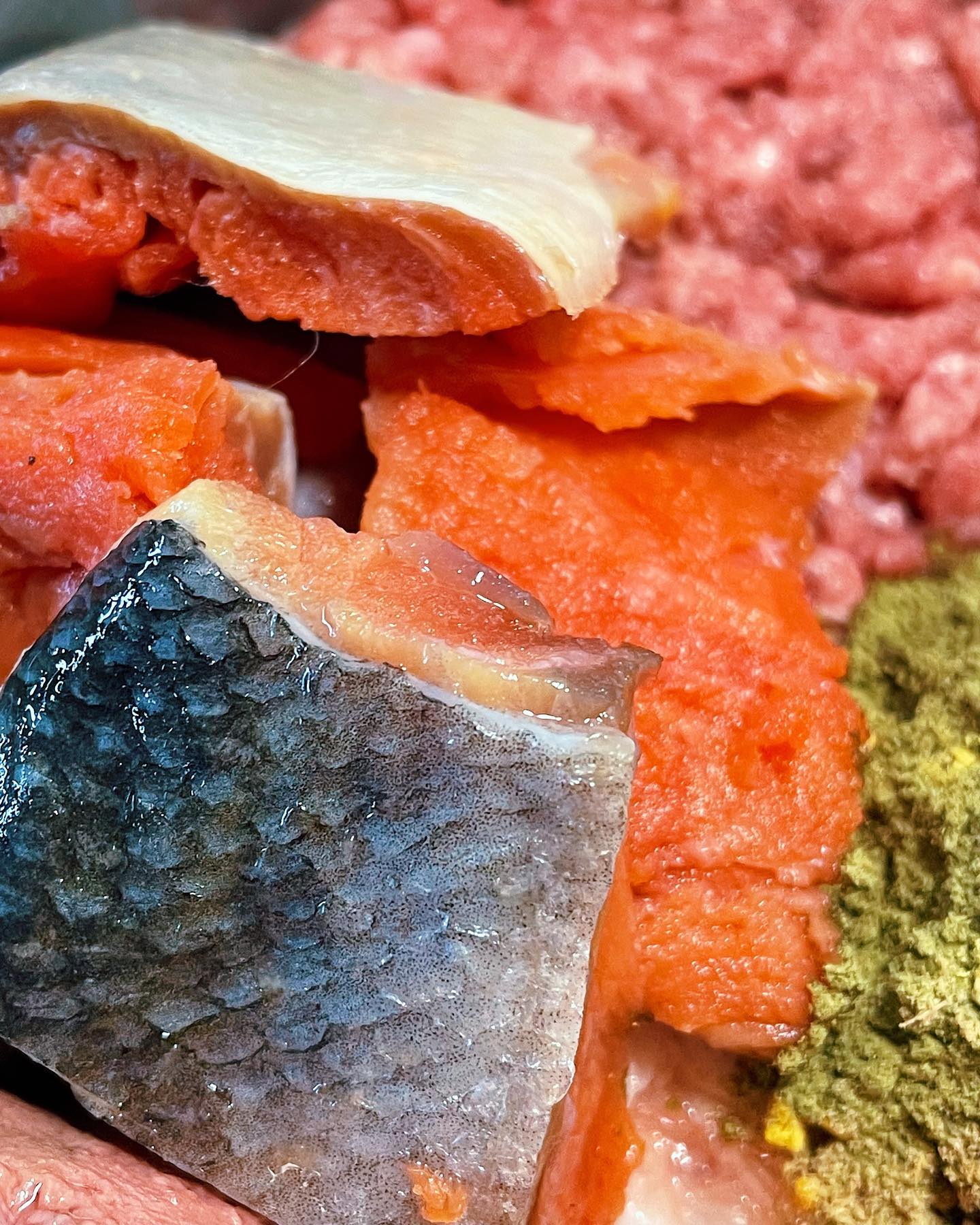 rfm raw salmon, salmon skin, raw feeding miami