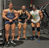 Admiration for Big Body Bodybuilders