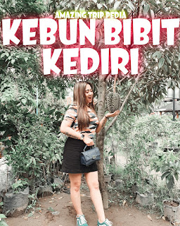 Menikmati Keindahan Kebun Bibit Kediri