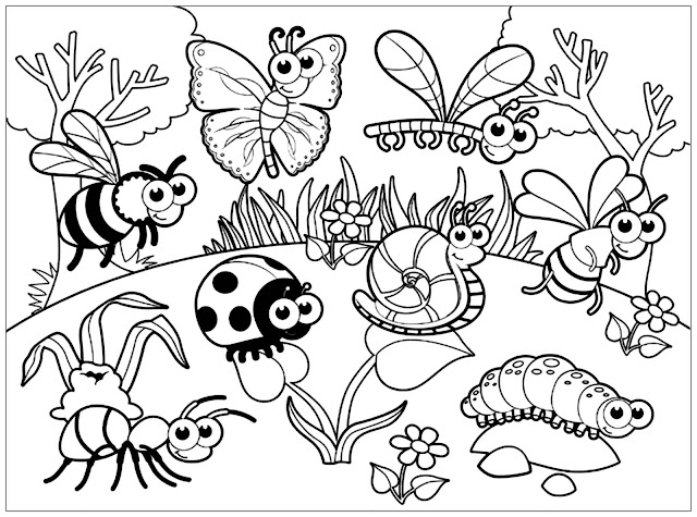Insect Coloring Pages: Free, Fun, Printable