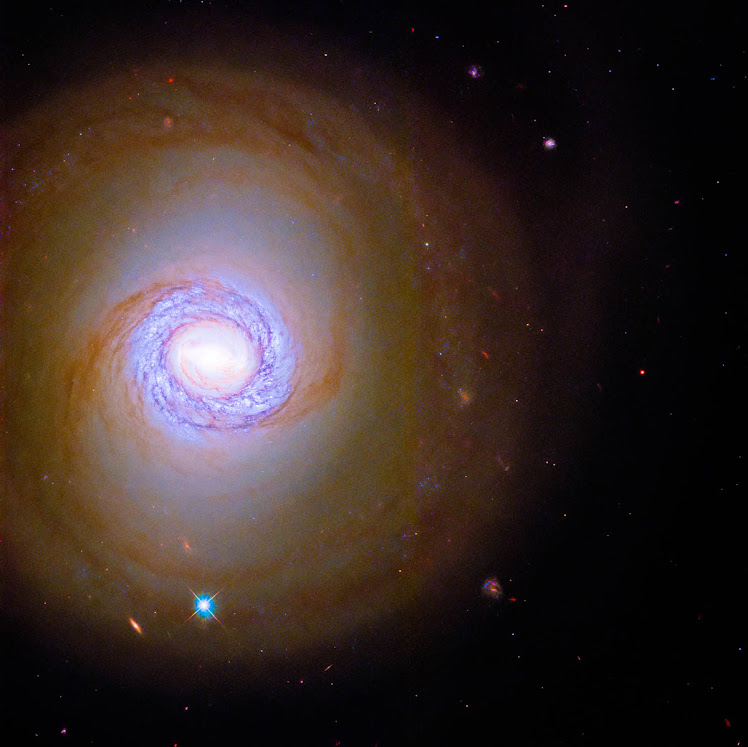 NGC 1317: uma de um par