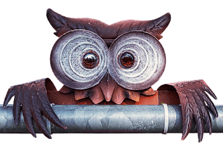 Observation-image-of-owl