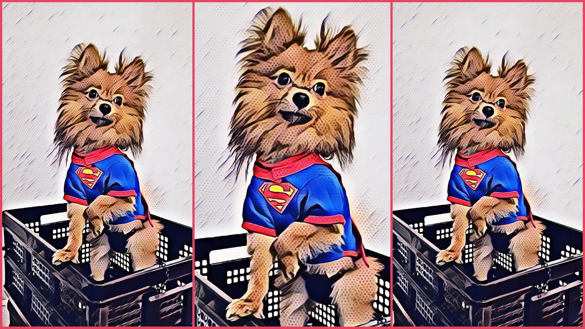 Chewy Pomeranian Superman Costume Halloween