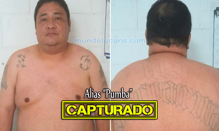 El Salvador: Capturan a alias "Pumba": peligroso pandillero atemorizaba a la población de Apopa