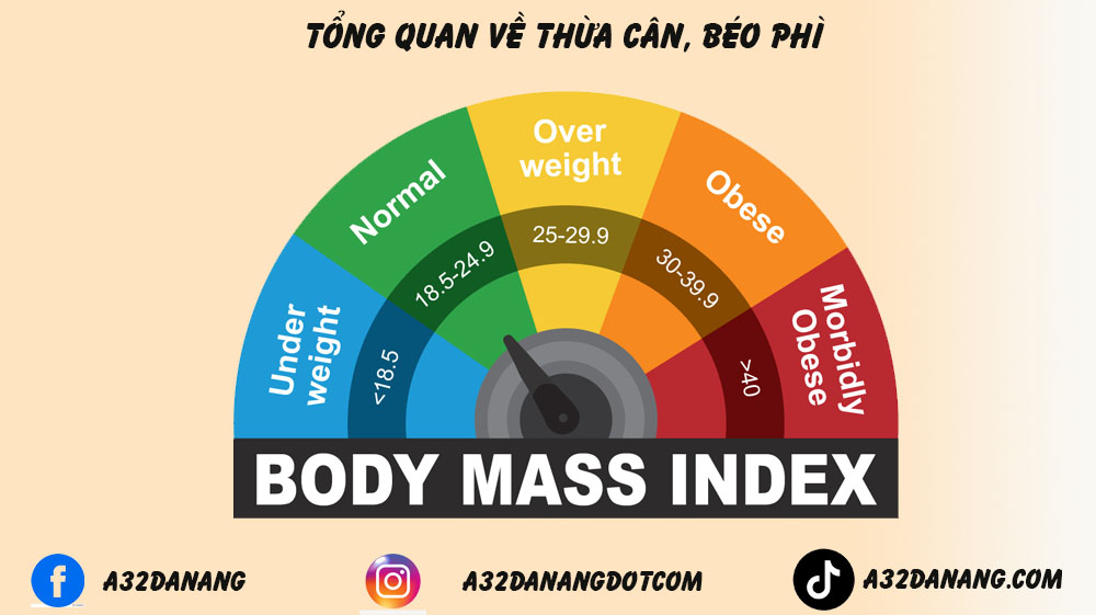 chỉ số bmi