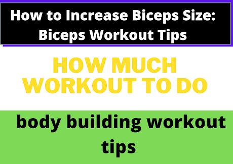 How to Increase Biceps Size: Biceps Workout Tips