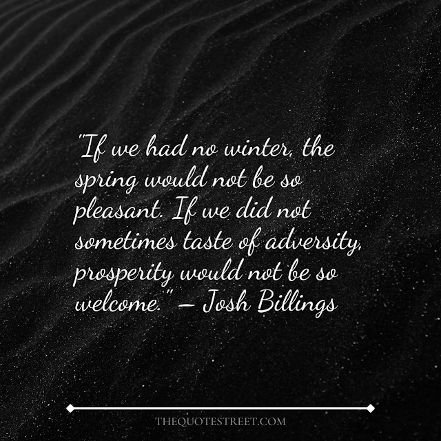 "If we had no winter, the spring would not be so pleasant. If we did not sometimes taste of adversity, prosperity would not be so welcome." – Josh Billings