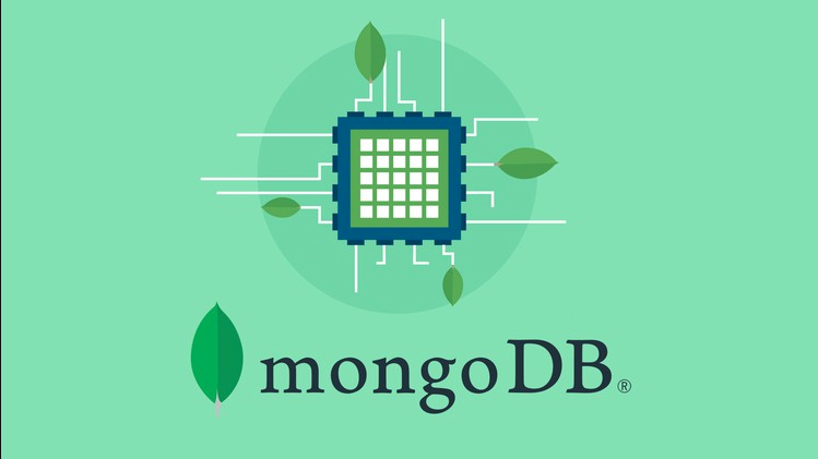 MongoDB Developers, Oracle Database Exam Prep, Oracle Database Certification, Database Preparation, Database Career, Database Skills, Database Job