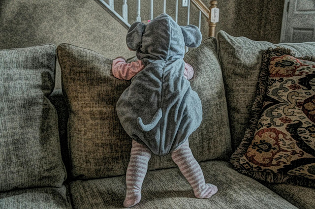 Baby Elephant Custom Free picture