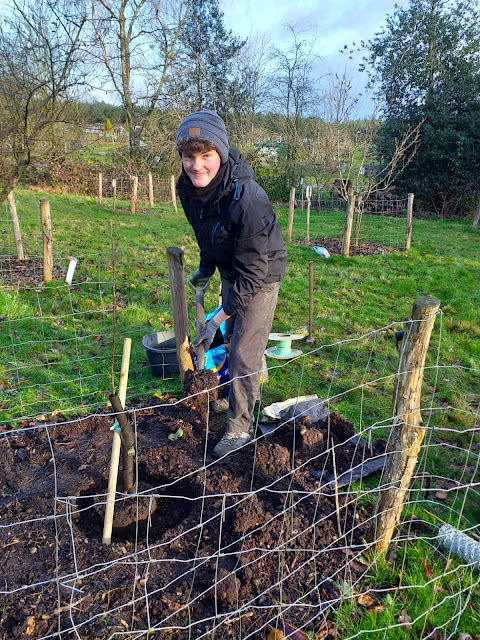 Thomas planting the new tree with shovel in hand