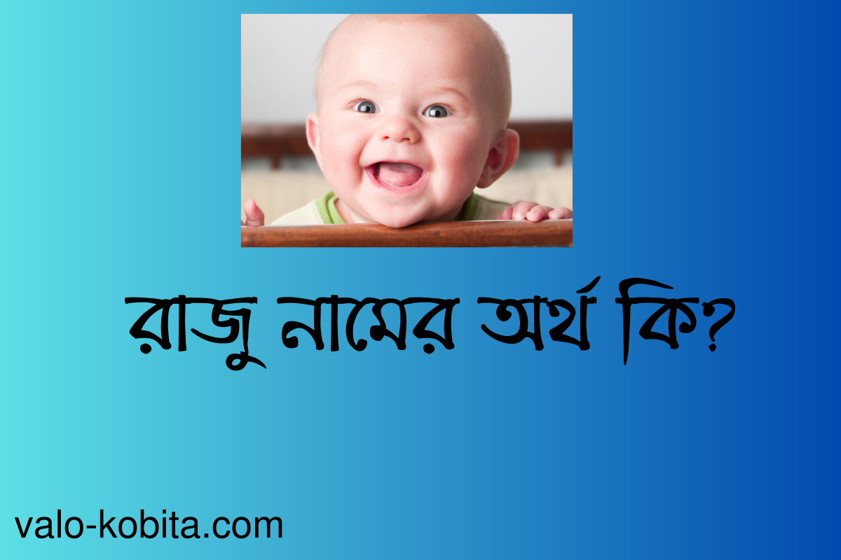 রাজু নামের অর্থ কি? বিস্তারিত