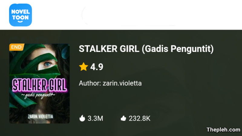 Novel Stalker Girl (Gadis Penguntit)