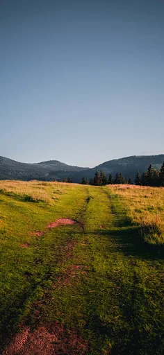 Verdant trail leading through peaceful hills.