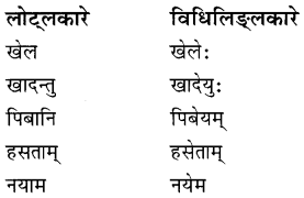 Solutions Class 8 रुचिरा Chapter-4 (सदैव पुरतो निधेहि चरणम्)