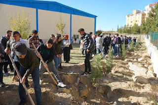 Bozkır’da Üniversite öğrencileri 100 Fidan 100 Nefes sloganıyla fidan dikti.