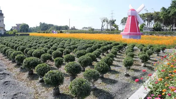 田尾花海嘉年華13日起登場 「秋收花宴」花海繽紛綻放