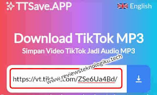 ttsave app - download sound tiktok ke wa mp3