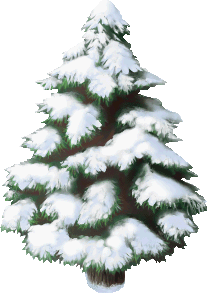 Snow Pine Tree