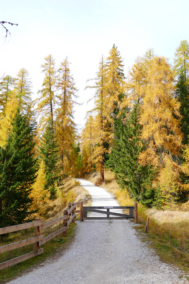 rifugio mietres rio gere