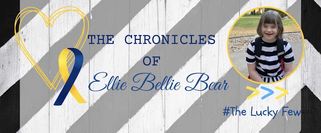The Chronicles of Ellie Bellie Bear