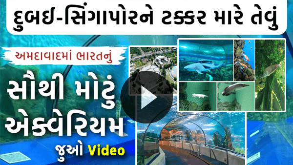 India Largest Fish Aquarium in Ahmedabad Science City