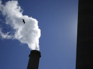 Plans to catch CO2 from coal plants squandered government dollars, guard dog says