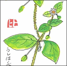 イメージ