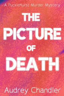 The Picture of Death by Audrey Chandler