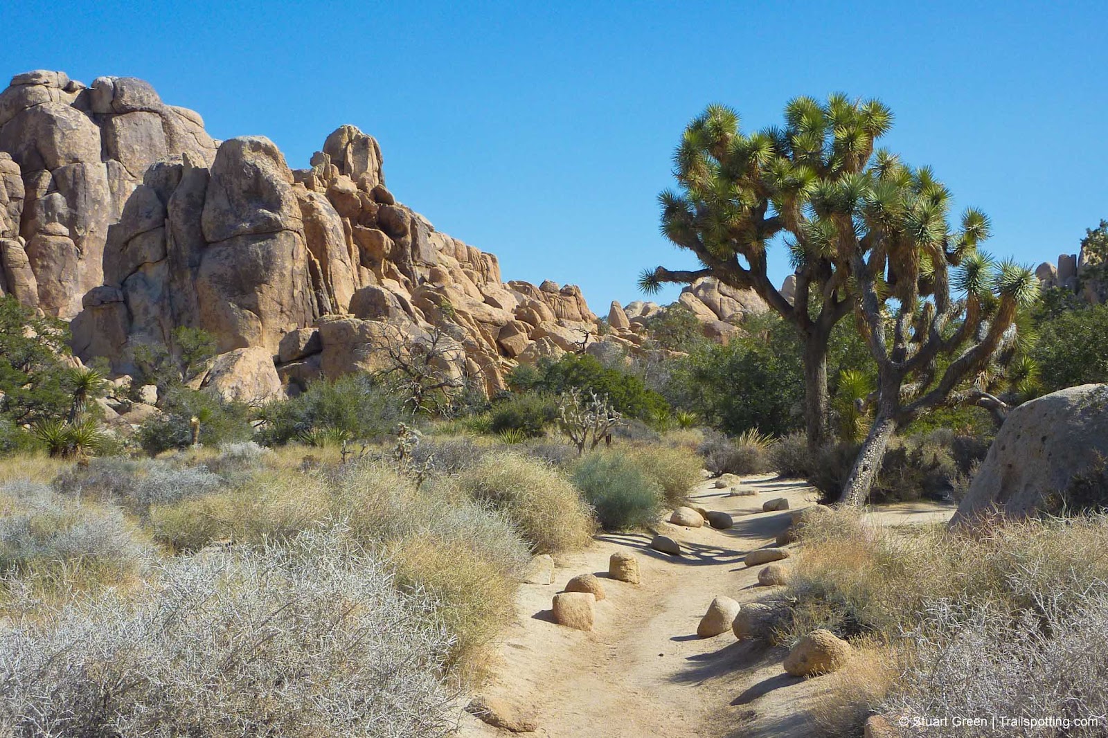 Hidden Valley Joshua Tree