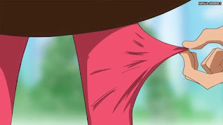 ワンピースアニメ WCI編 816話 | ONE PIECE Episode 816