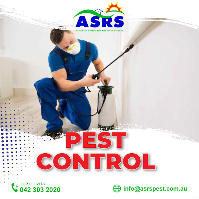 pest-inspection-services-in-sydney