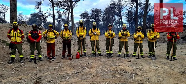 Brigadistas
