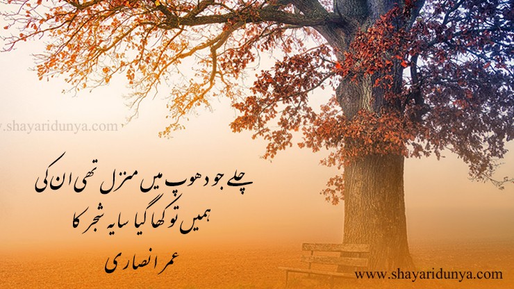 Top 15 famous shajar poetry in urdu | shajar Shayari | shajar 2line poetry | poetry on tree