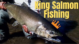 King Salmon Fishing - Three Ways ~ Bryan Went Fishing