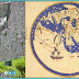 Al-Idrisi: Cartographer, Geographer, and Scholar - A Pioneer in Medieval Islamic Geography and Cartography