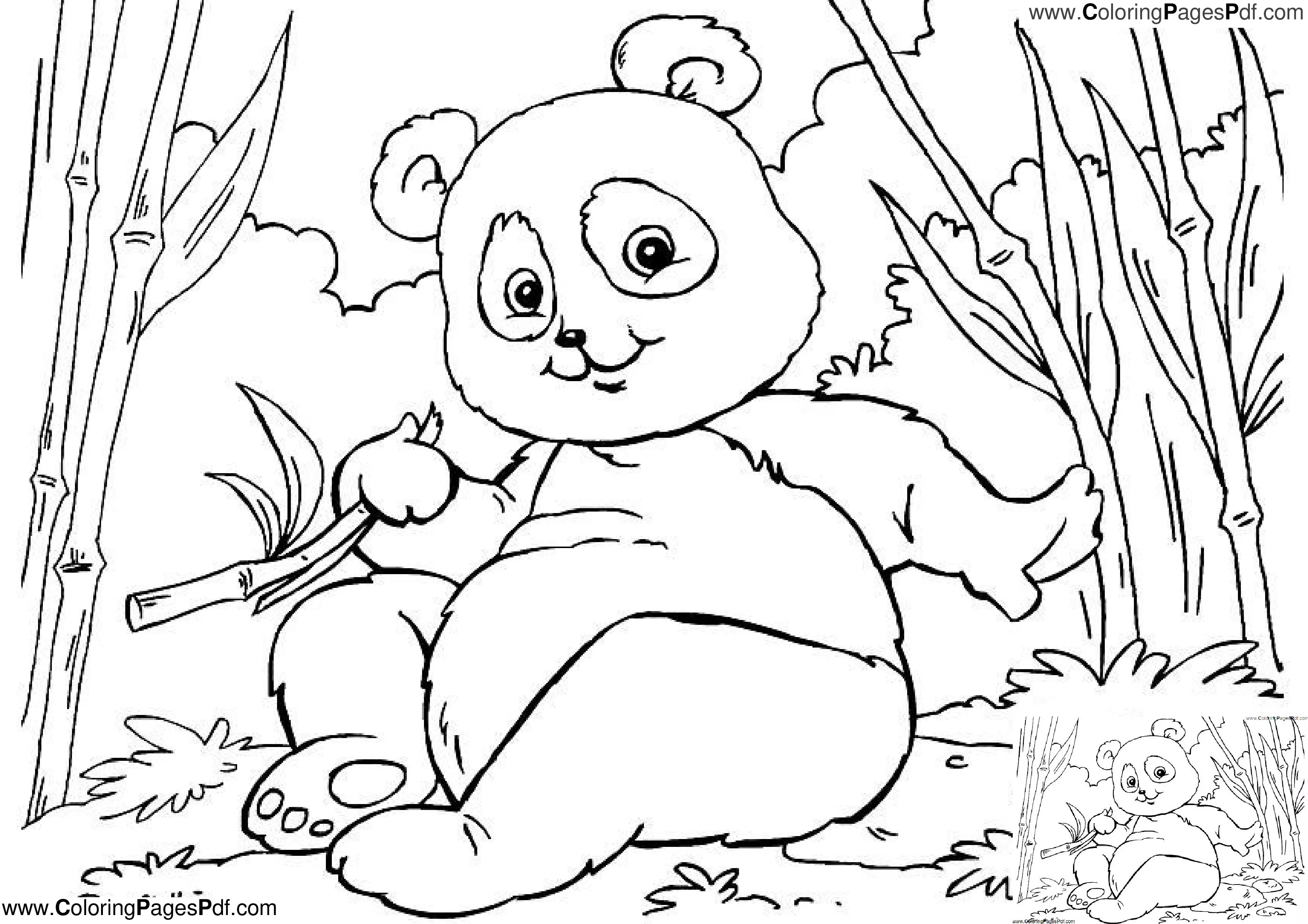 Realistic panda coloring pages