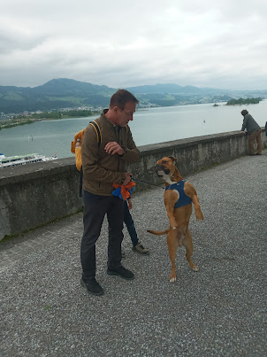 At Rapperswil  on the hill near castle.