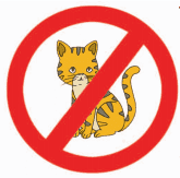 dilarang membawa hewan peliharaan kucing www.simplenews.me