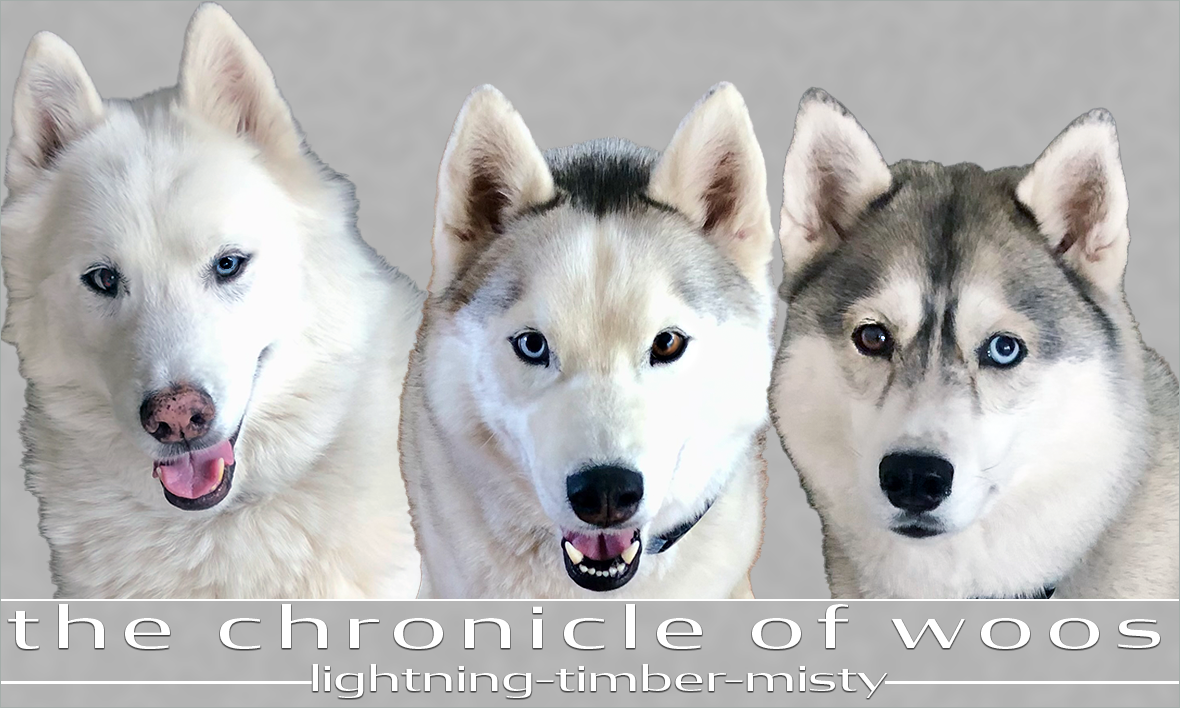 The Chronicle of Woos