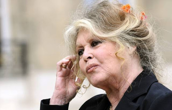 Brigitte Bardot, 87 ans, refuse le vaccin et se dit « allergique à tous les produits chimiques ! »