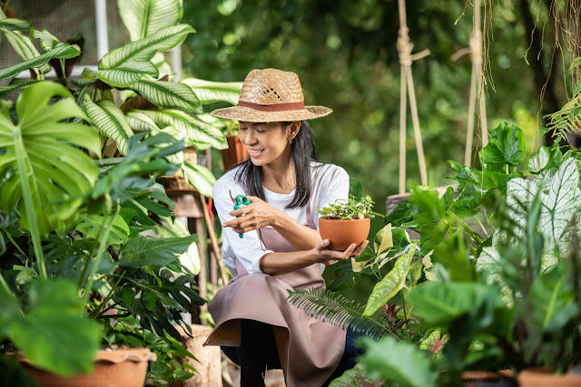 berkebun