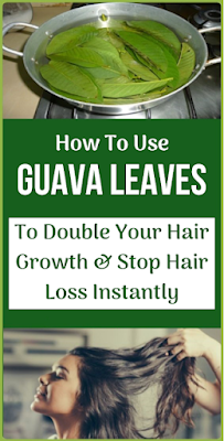 How To Use Guava Leaves To Double Your Hair Growth & Stop Hair Loss Instantly