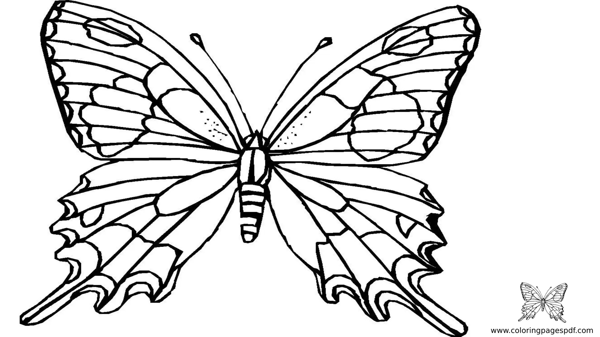 Coloring Pages Of A Spelndid Butterfly