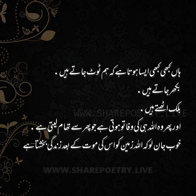 Beautiful Quotes by Urdu Poets That Show the Magic