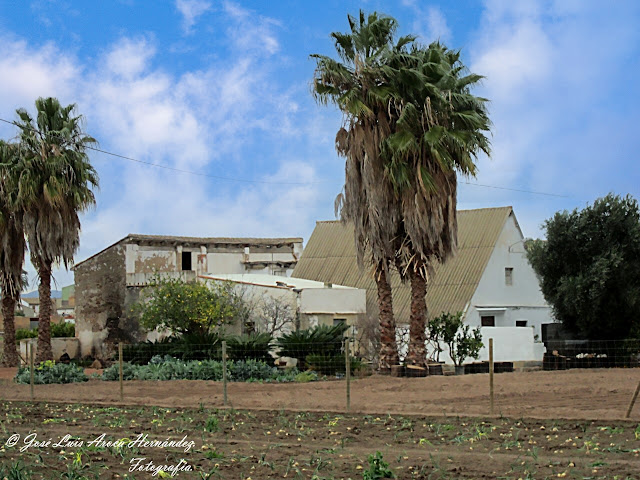 Almassera (Valencia).